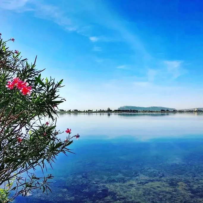 Holiday home Villa Rodi Quartu Sant'Elena